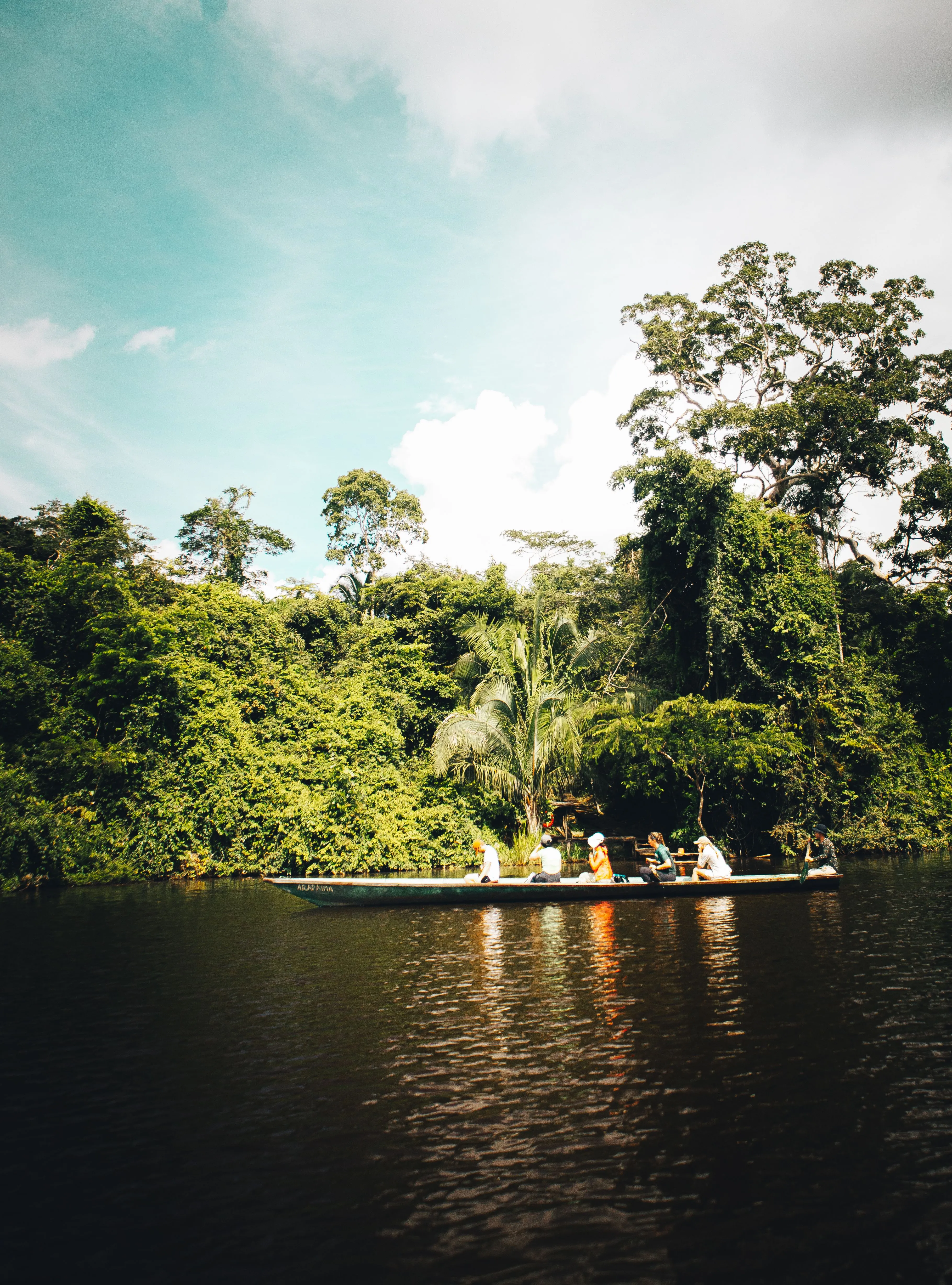 A boat moving between partly submerged trees in an igapó forest in the Amazon.